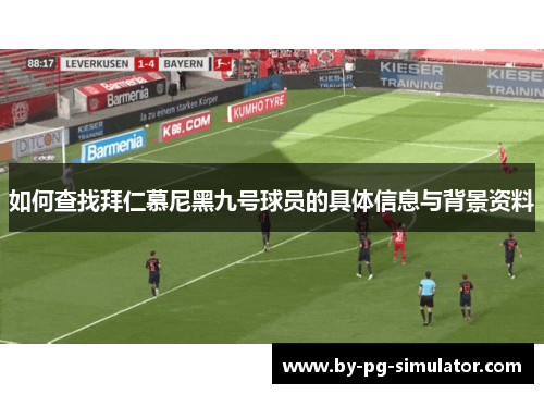 如何查找拜仁慕尼黑九号球员的具体信息与背景资料 如何查找拜仁慕尼黑九号球员的具体信息与背景资料
