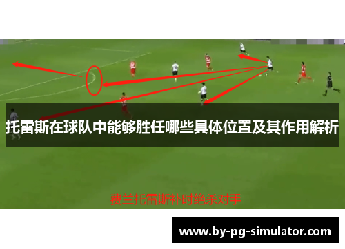 托雷斯在球队中能够胜任哪些具体位置及其作用解析