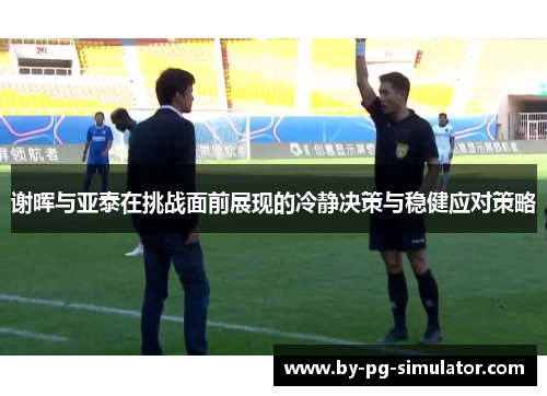 谢晖与亚泰在挑战面前展现的冷静决策与稳健应对策略 谢晖与亚泰在挑战面前展现的冷静决策与稳健应对策略