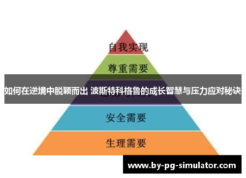 如何在逆境中脱颖而出 波斯特科格鲁的成长智慧与压力应对秘诀