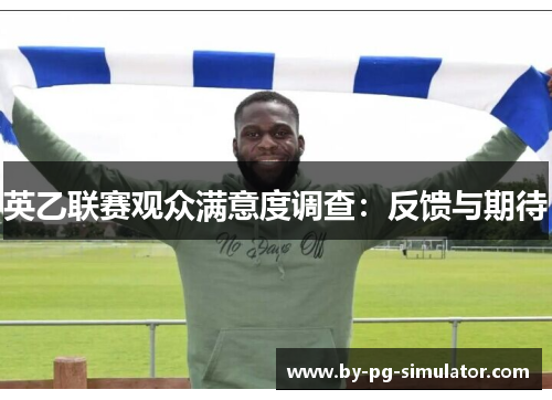 英乙联赛观众满意度调查：反馈与期待