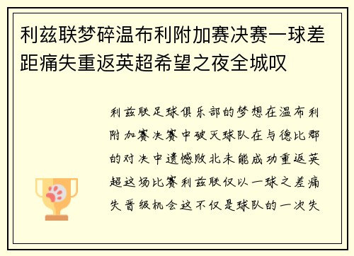 利兹联梦碎温布利附加赛决赛一球差距痛失重返英超希望之夜全城叹 利兹联梦碎温布利附加赛决赛一球差距痛失重返英超希望之夜全城叹